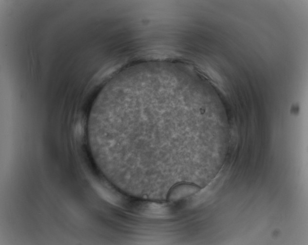 X0000100420166200807032110