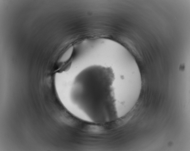 X0000100420167200807032110