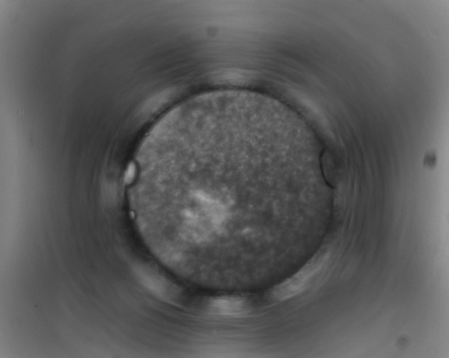 X0000100420168200807032110