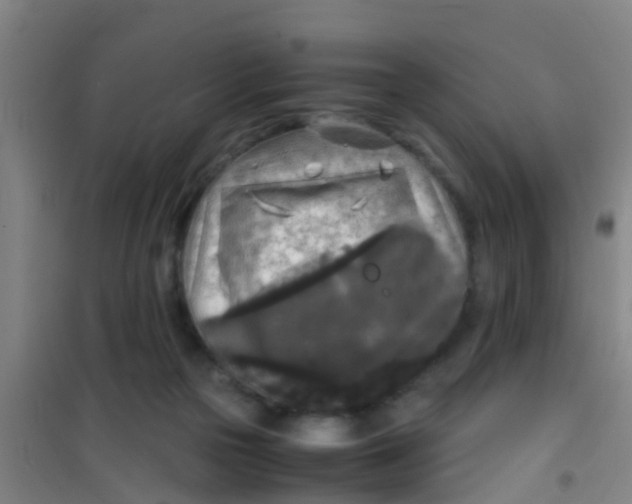 X0000100420169200807032110