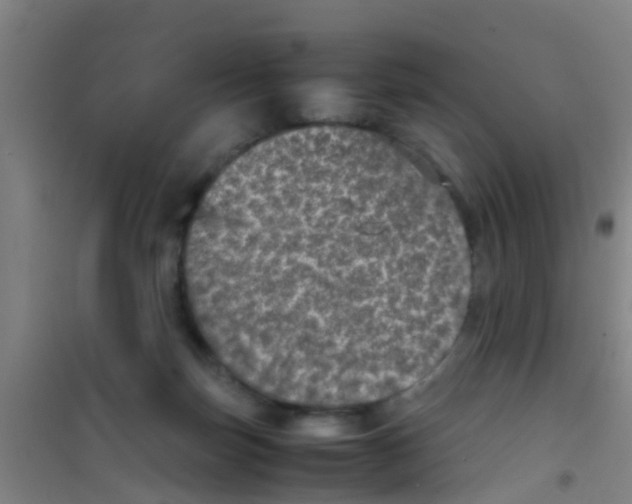 X0000100420171200807032110