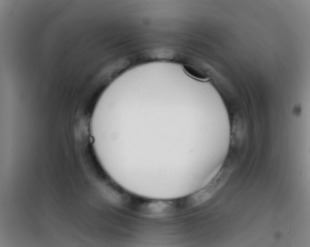 X0000100420172200807032110