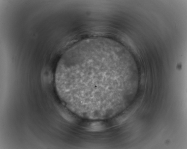 X0000100420173200807032110