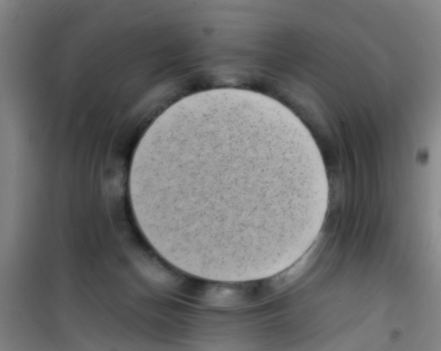 X0000100420174200807032110