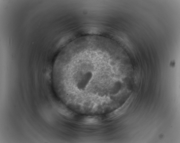 X0000100420175200807032110