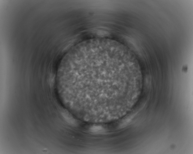 X0000100420177200807032110