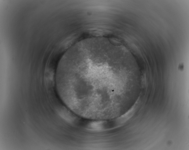 X0000100420178200807032110