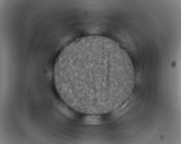 X0000100420179200807032110