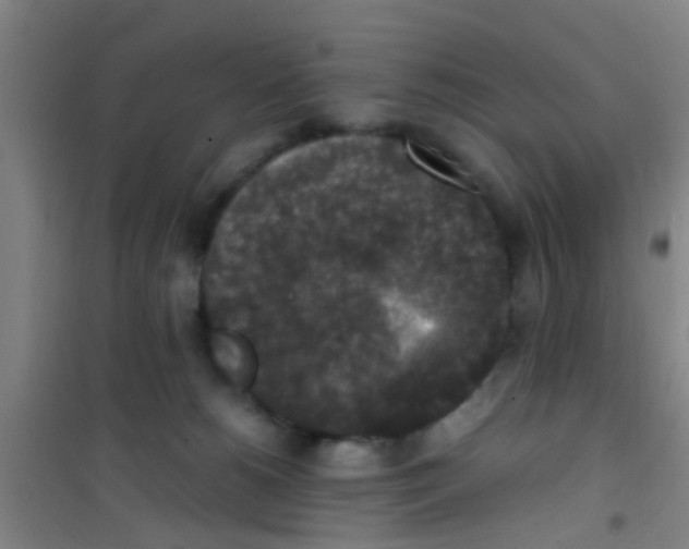 X0000100420180200807032110