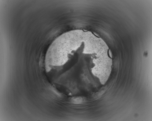 X0000100420181200807032110