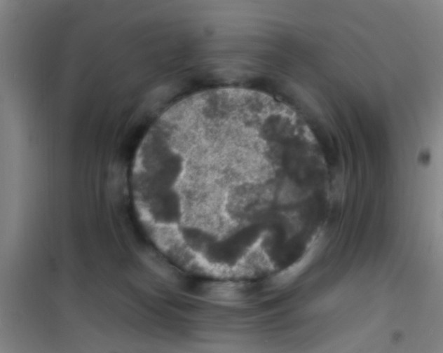 X0000100420182200807032110