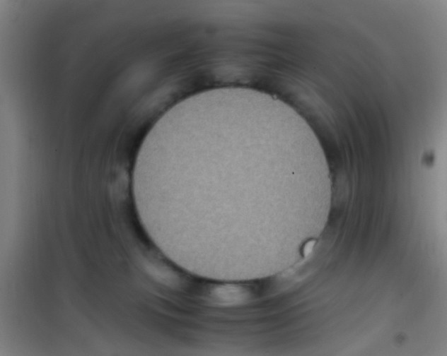 X0000100420183200807032110