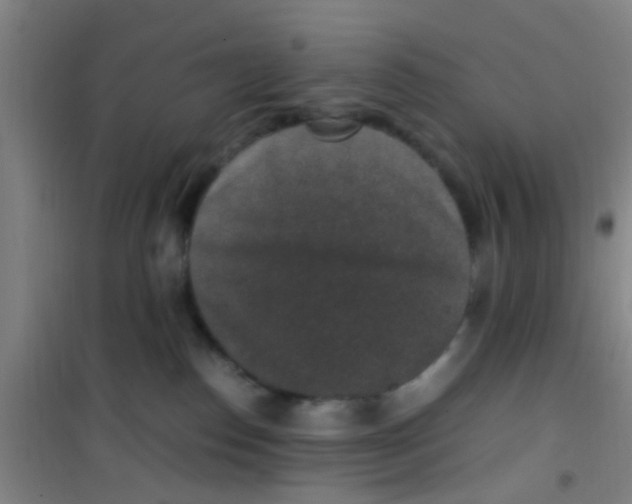 X0000100420186200807032110