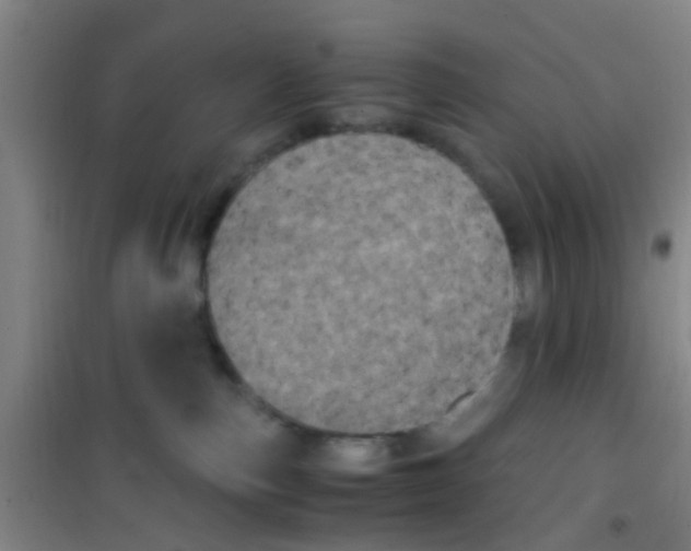 X0000100420187200807032110