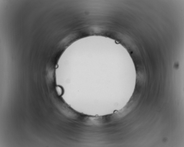 X0000100420188200807032110