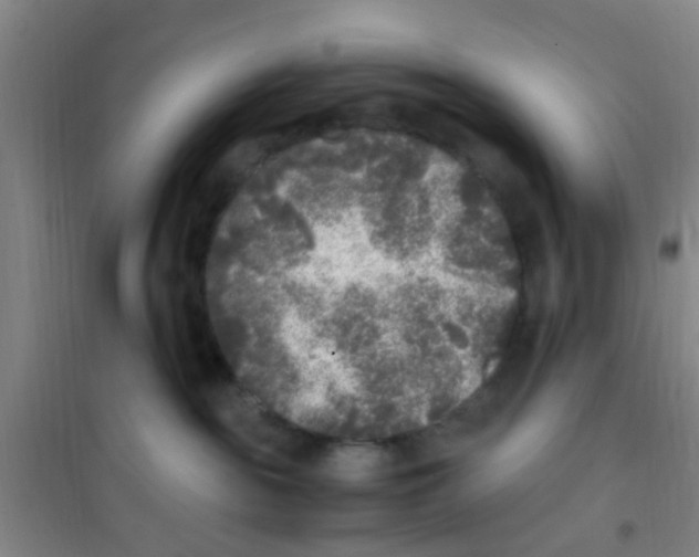 X0000100420189200807032110