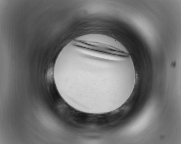 X0000100420190200807032110