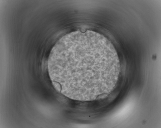 X0000100420191200807032110