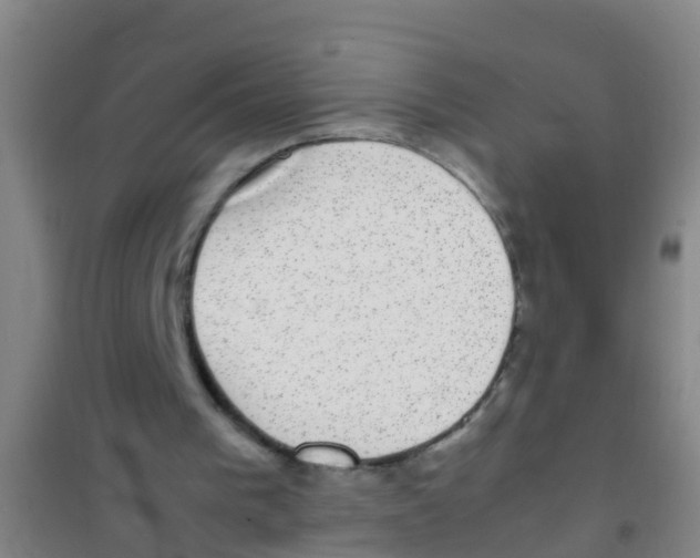 X0000100420193200807032110