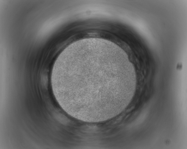 X0000100420194200807032110