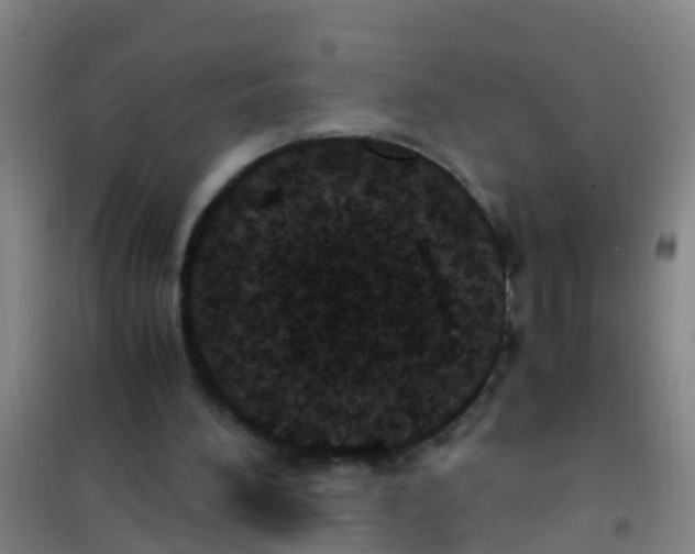 X0000100420196200807032109