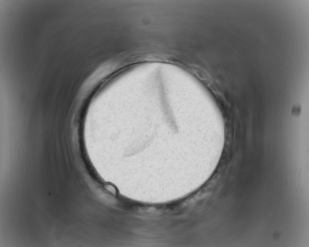 X0000100420197200807032109