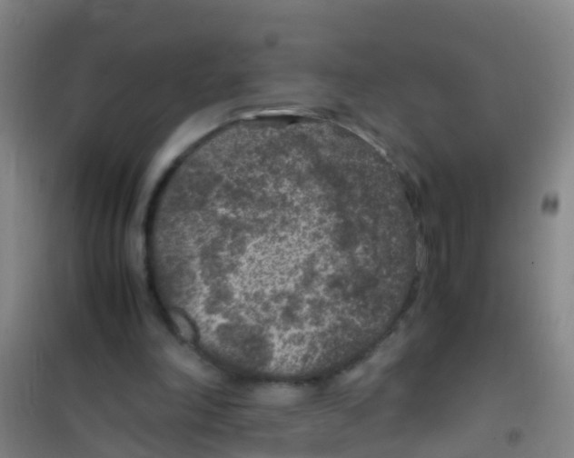 X0000100420198200807032109