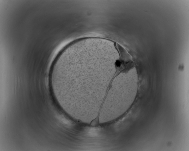 X0000100420200200807032109