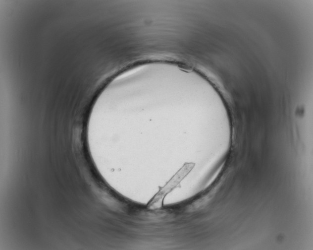 X0000100420201200807032109