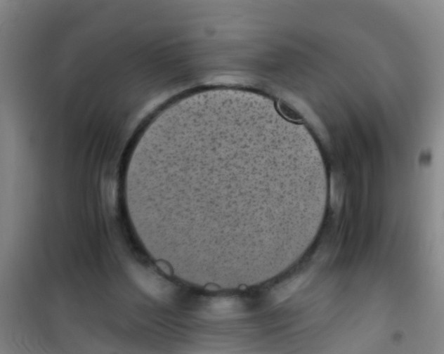 X0000100420204200807032109