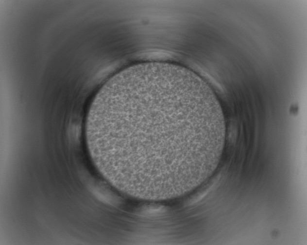 X0000100420206200807032109