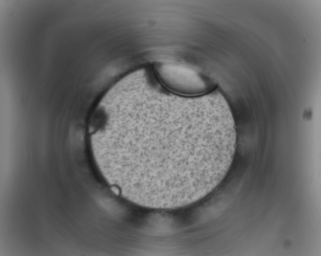 X0000100420207200807032109