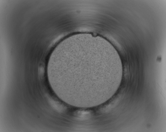 X0000100420208200807032109