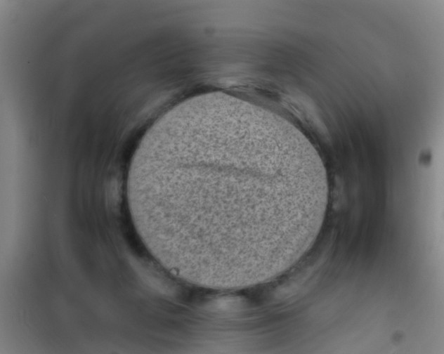 X0000100420210200807032109