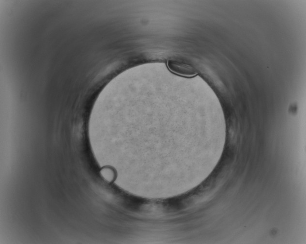 X0000100420211200807032109