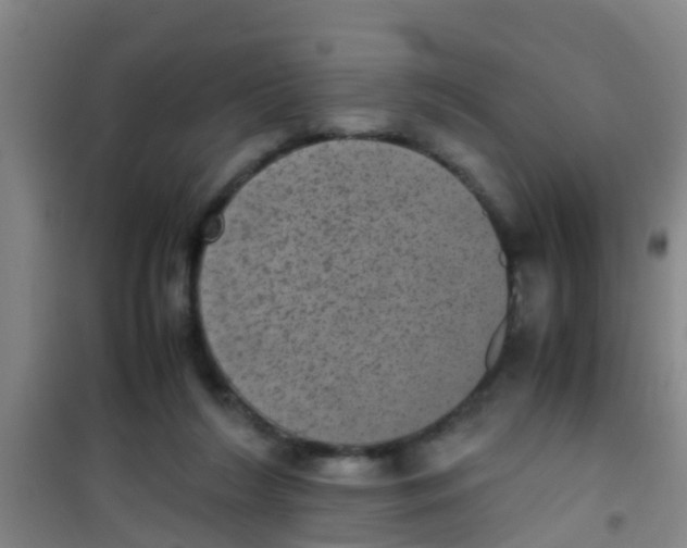 X0000100420212200807032109