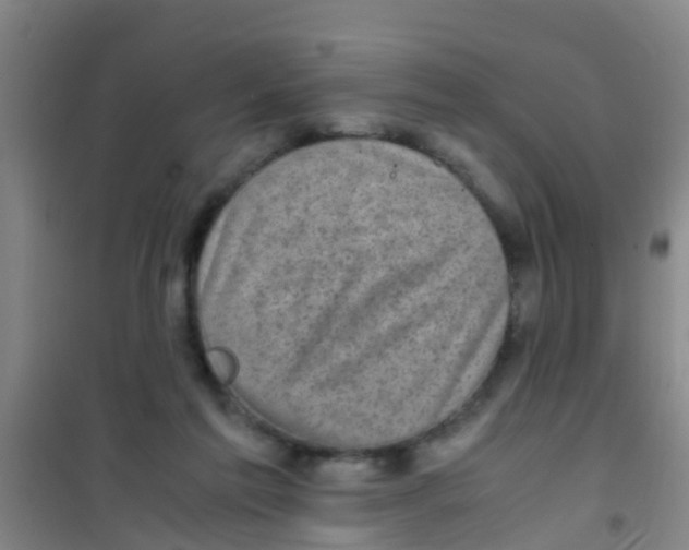 X0000100420213200807032109