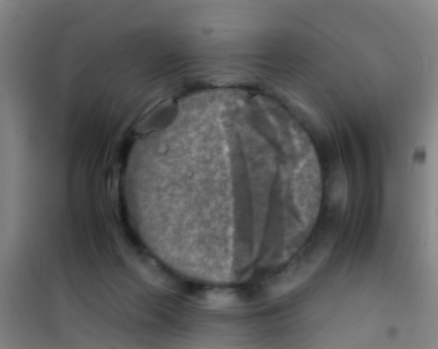 X0000100420214200807032109