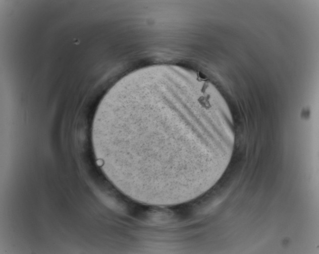 X0000100420215200807032109