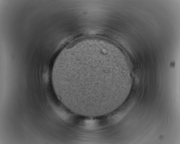 X0000100420216200807032109