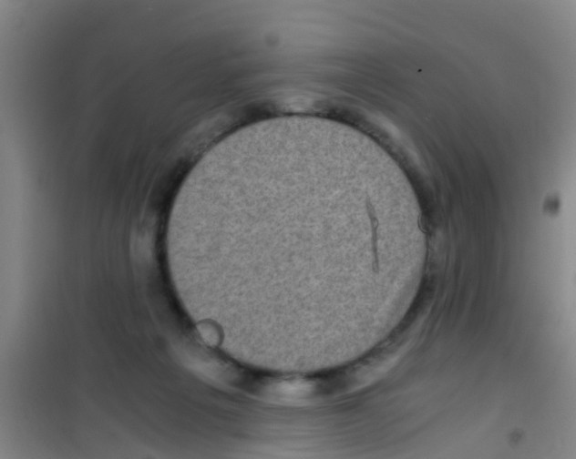 X0000100420217200807032109