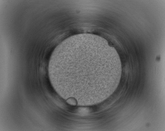 X0000100420218200807032109