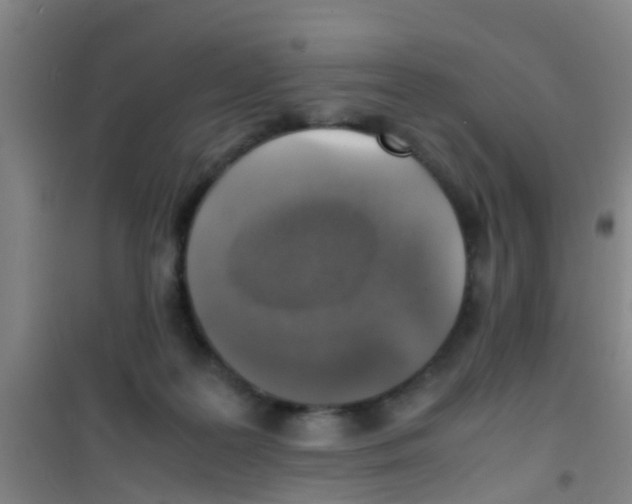 X0000100420219200807032109