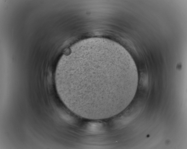 X0000100420220200807032109