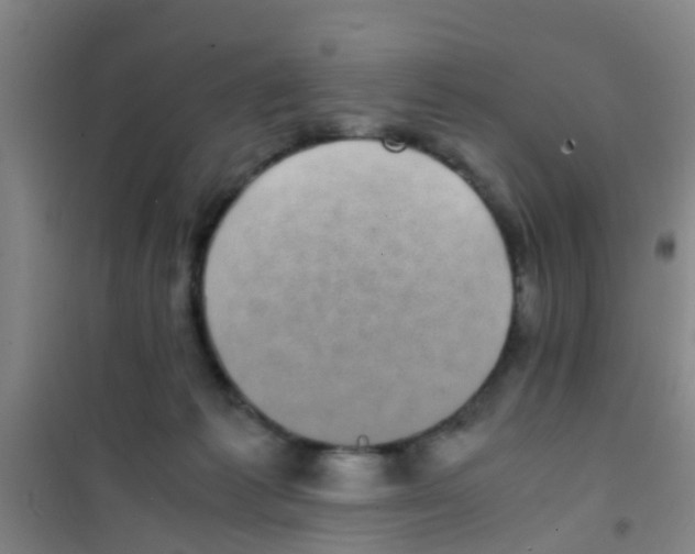 X0000100420221200807032109