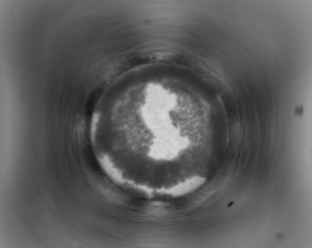 X0000100420222200807032109