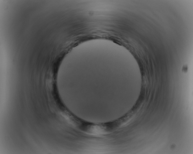 X0000100420223200807032109