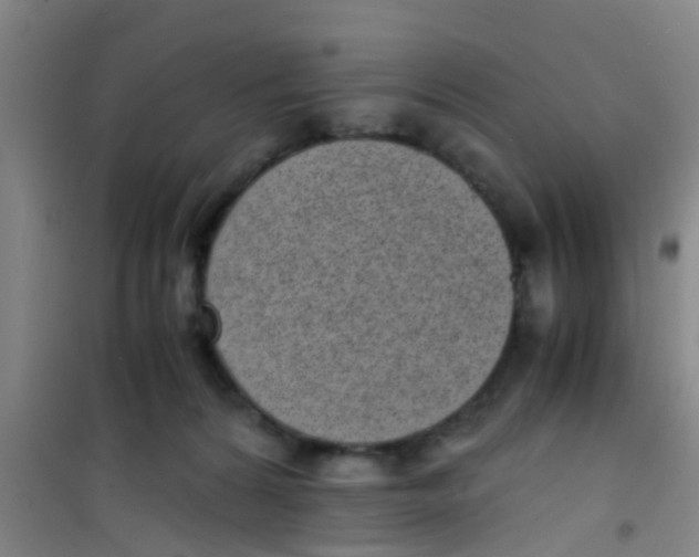 X0000100420224200807032109