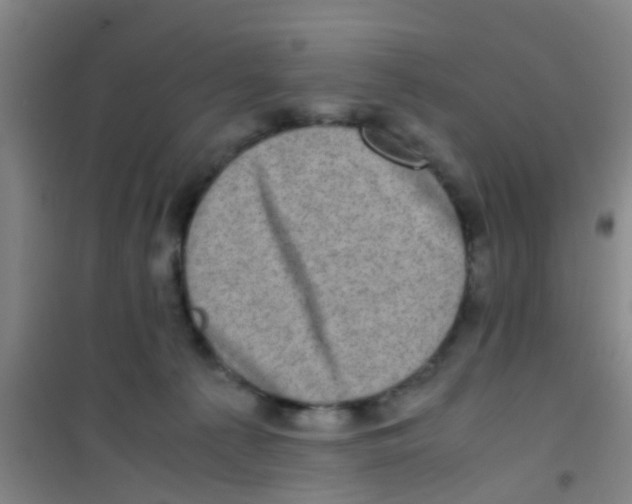 X0000100420225200807032109