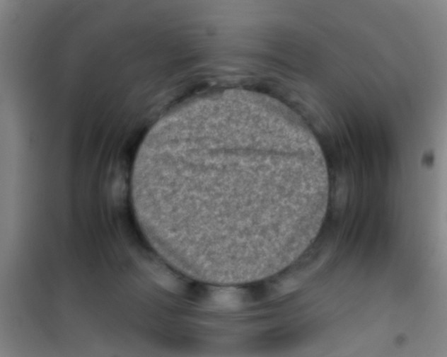 X0000100420226200807032109